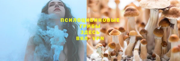 дурь Алексеевка