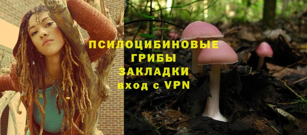 дурь Алексеевка